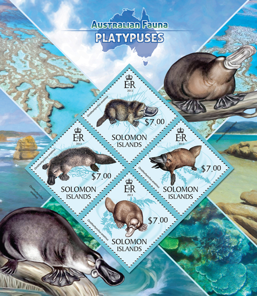 Platypuses  - Issue of Solomon islands postage stamps