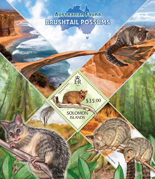 Brushtail possums  - Issue of Solomon islands postage stamps