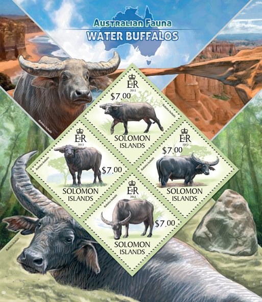 Water buffalos  - Issue of Solomon islands postage stamps