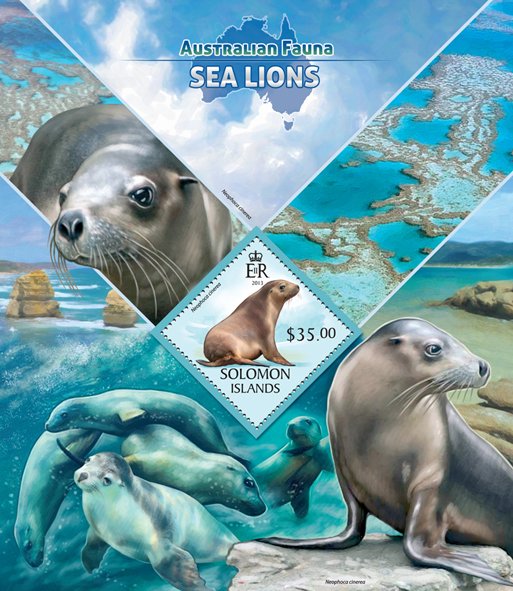 Sea lions   - Issue of Solomon islands postage stamps