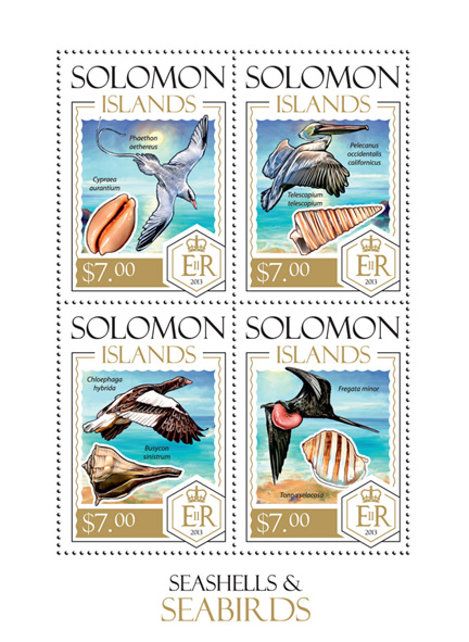 Shells and Seabirds - Issue of Solomon islands postage stamps