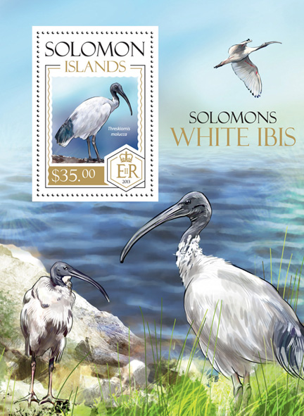 Bird - Issue of Solomon islands postage stamps