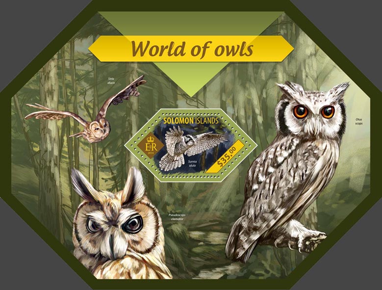 Owls - Issue of Solomon islands postage stamps