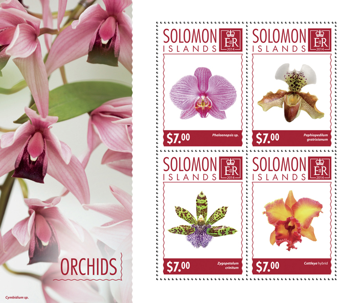 Orchids - Issue of Solomon islands postage stamps