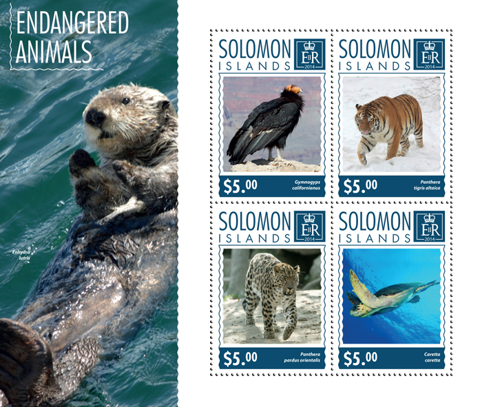 Endangered animals - Issue of Solomon islands postage stamps