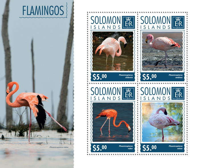 Flamingos - Issue of Solomon islands postage stamps