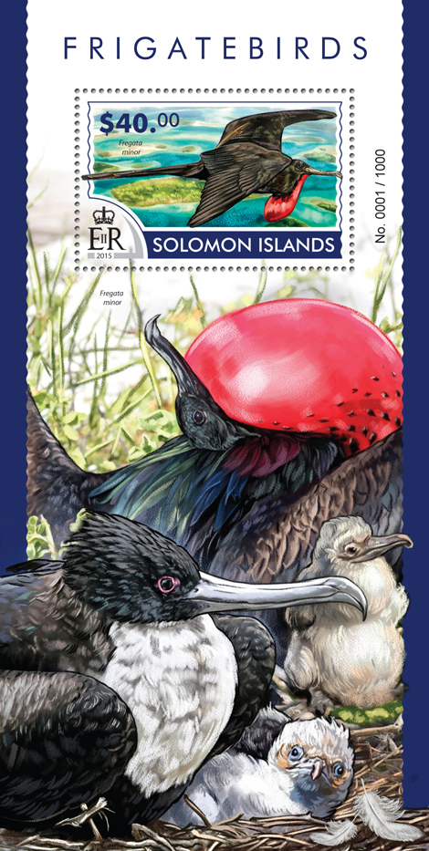Frigatebirds - Issue of Solomon islands postage stamps
