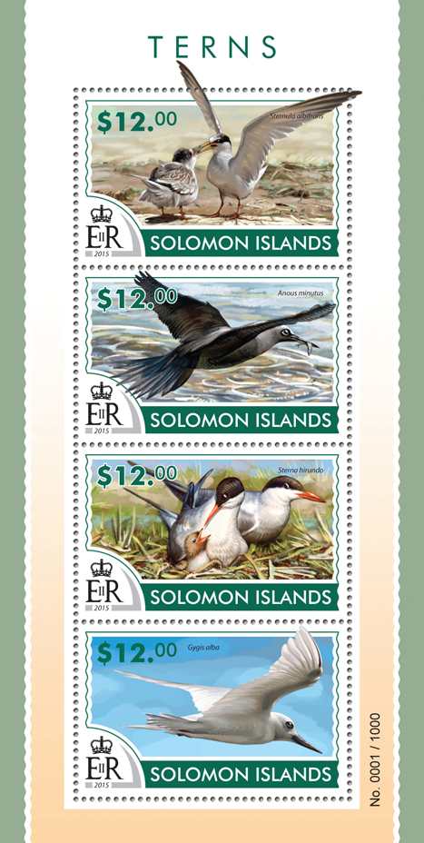 Terns - Issue of Solomon islands postage stamps
