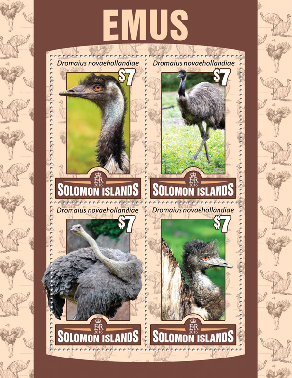 Emus - Issue of Solomon islands postage stamps