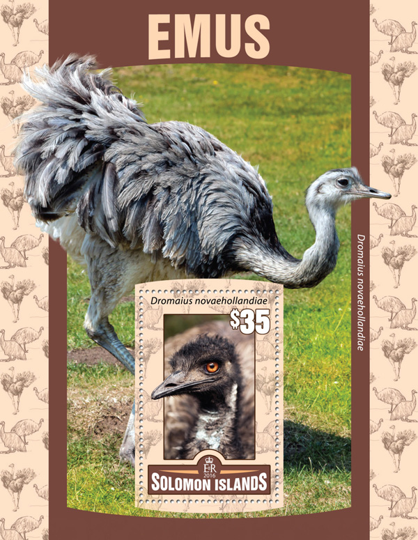 Emus - Issue of Solomon islands postage stamps