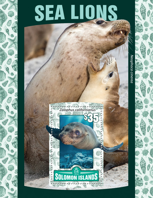 Sea lions - Issue of Solomon islands postage stamps