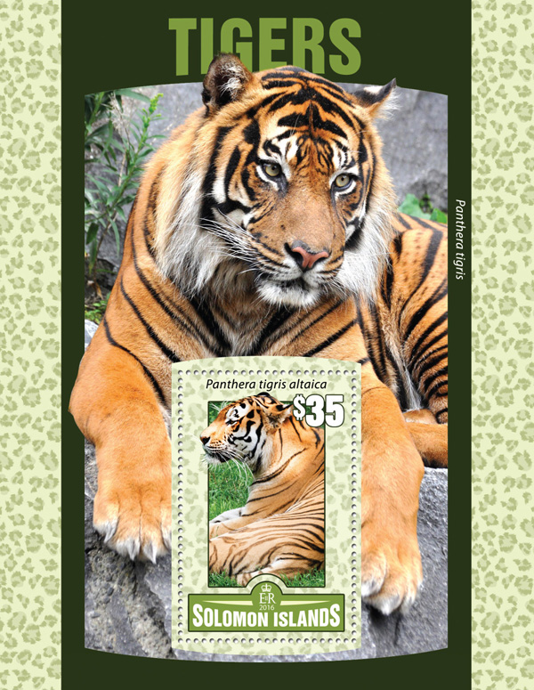 Tigers - Issue of Solomon islands postage stamps