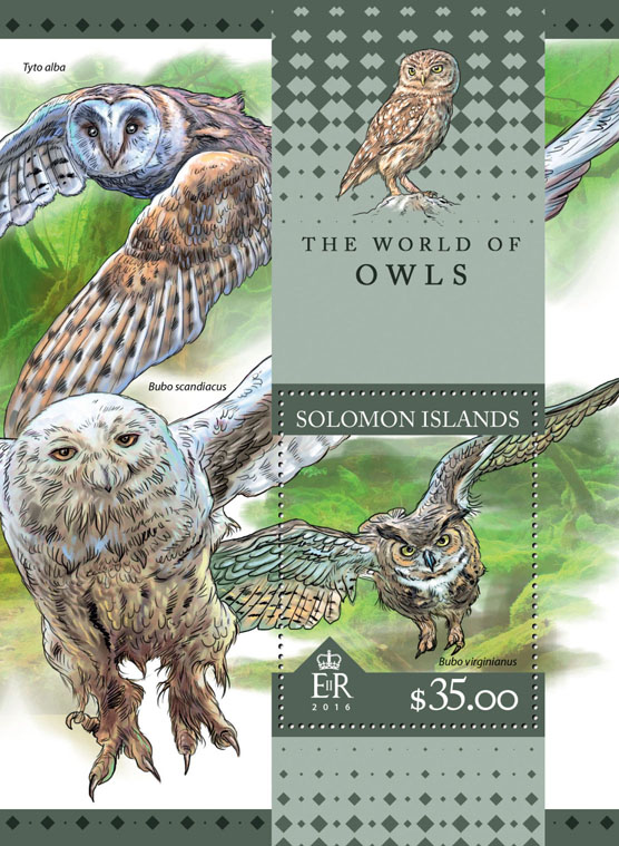 Owls - Issue of Solomon islands postage stamps