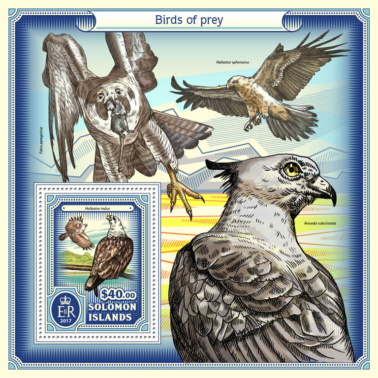 Birds of prey - Issue of Solomon islands postage stamps