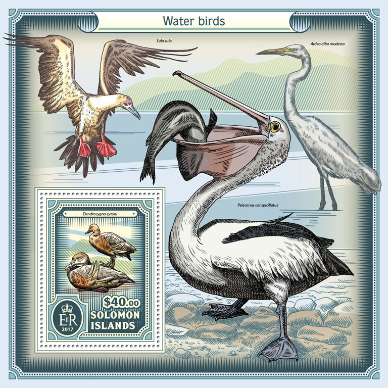 Water birds - Issue of Solomon islands postage stamps